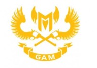 英雄联盟msi成都GAM战队成员名单