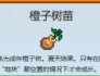 星露谷物语橙子树苗售出价格介绍